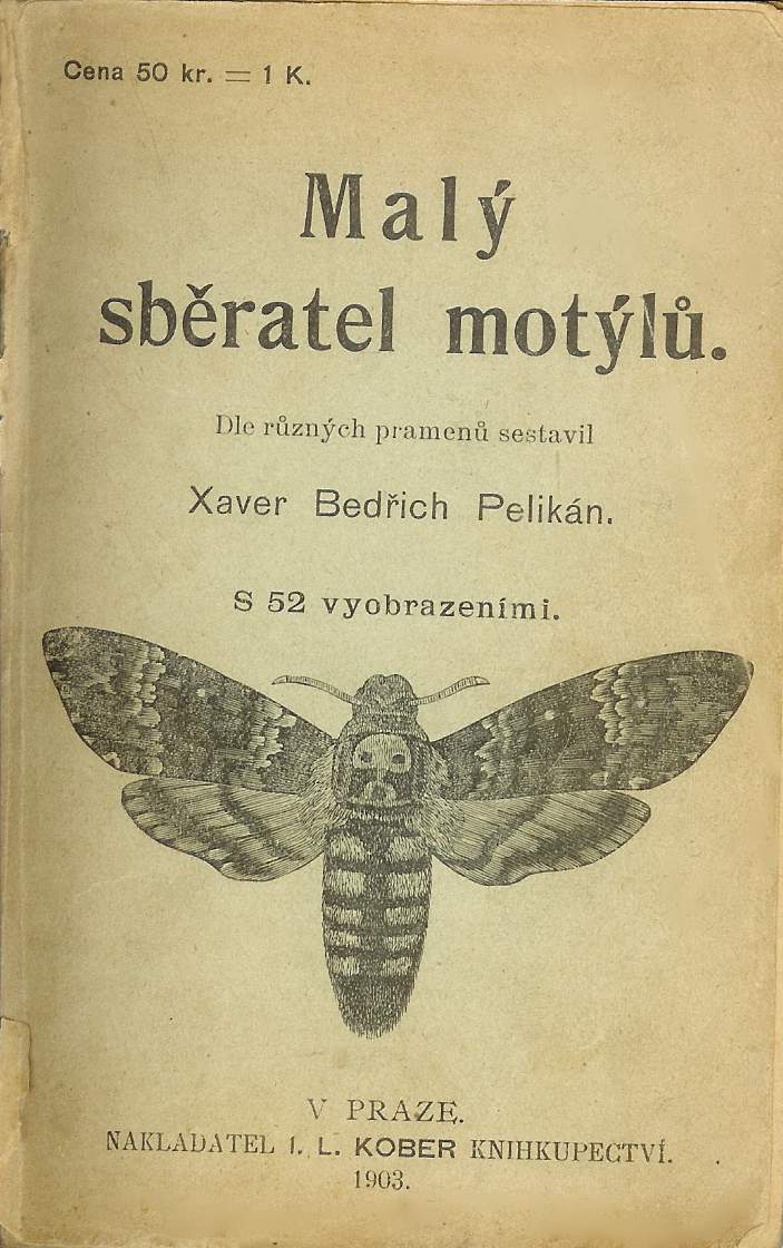 Xaver Bedřich Pelikán - Malý sběratel motýů