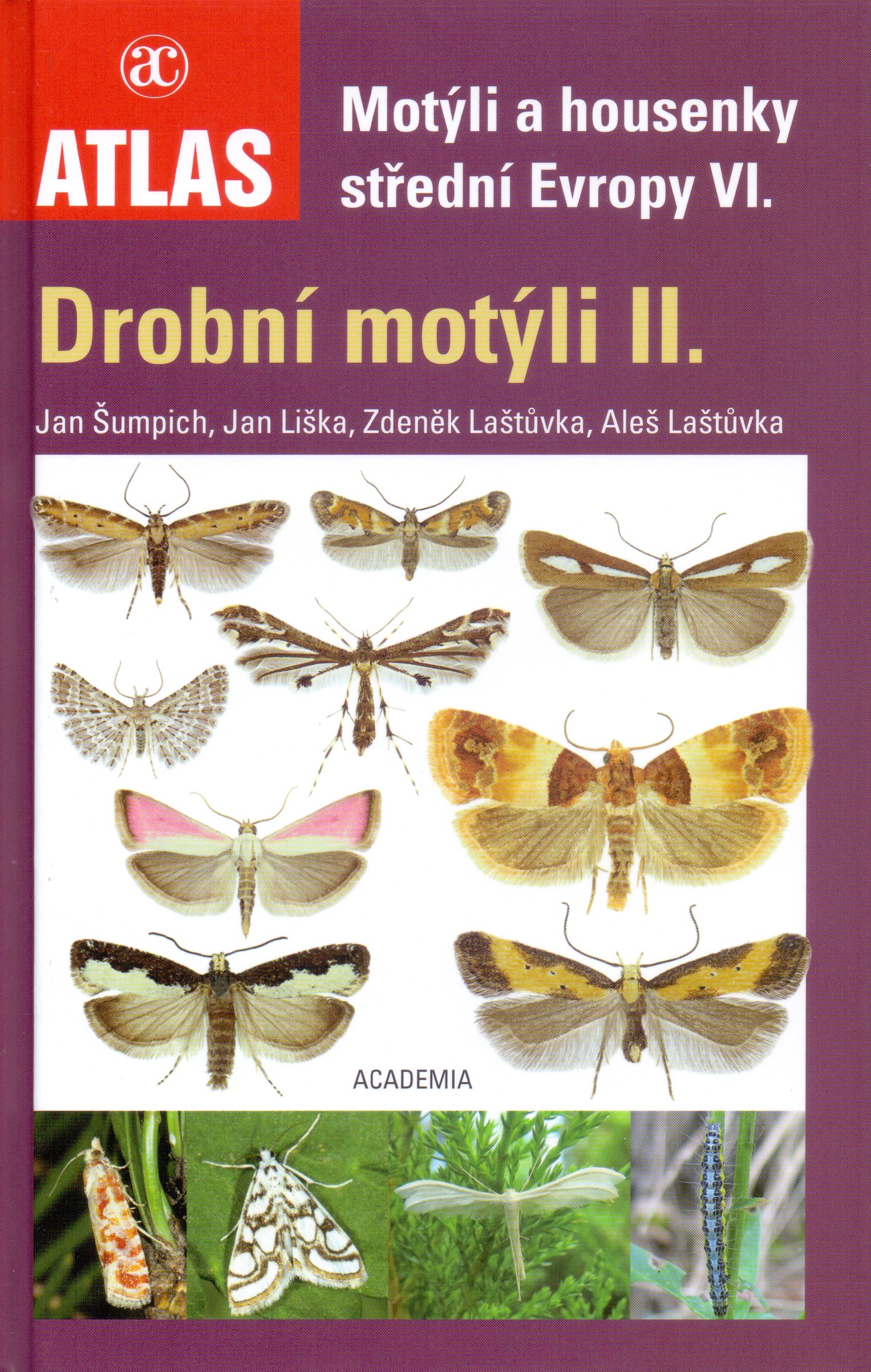 Jan Šumpich, Jan Liška, Zdeněk Laštůvka a Aleš Laštůvka - Drobní motýli II. - Motýli a housenky střední Evropy VI.