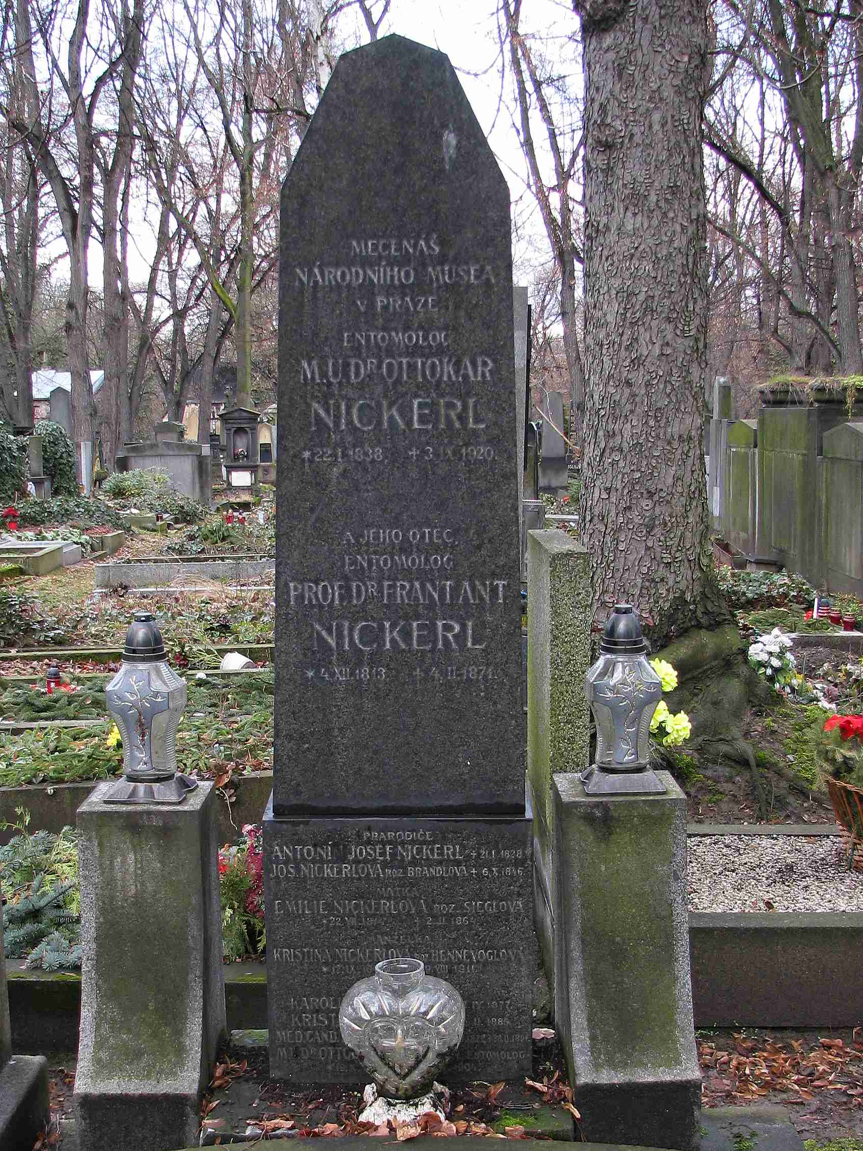 Detailní pohled na hrob F.A. Nickerla